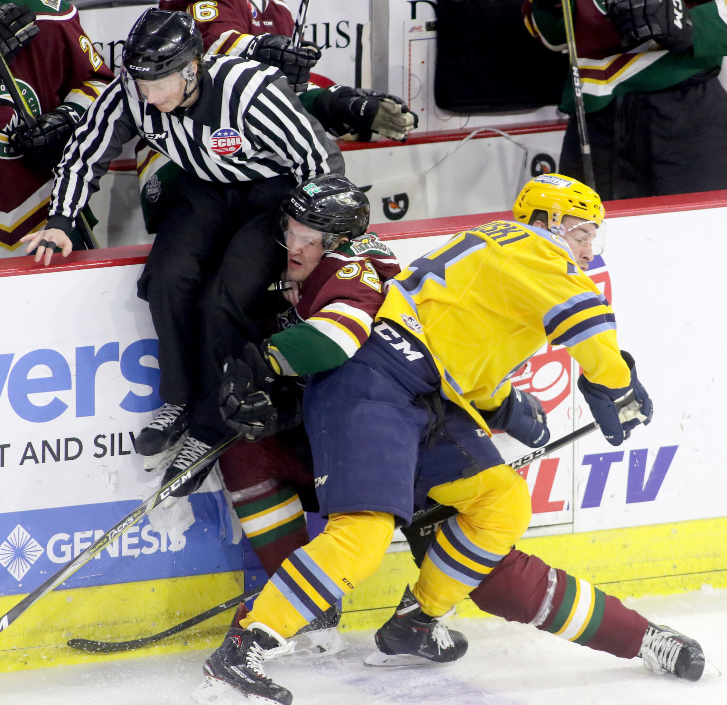021818-Mallards-Toledo-013